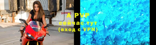 спайс Бородино