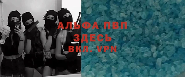 спайс Бородино