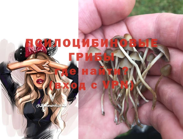 спайс Бородино