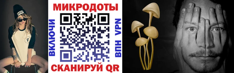 Псилоцибиновые грибы GOLDEN TEACHER  купить наркотик  Динская 